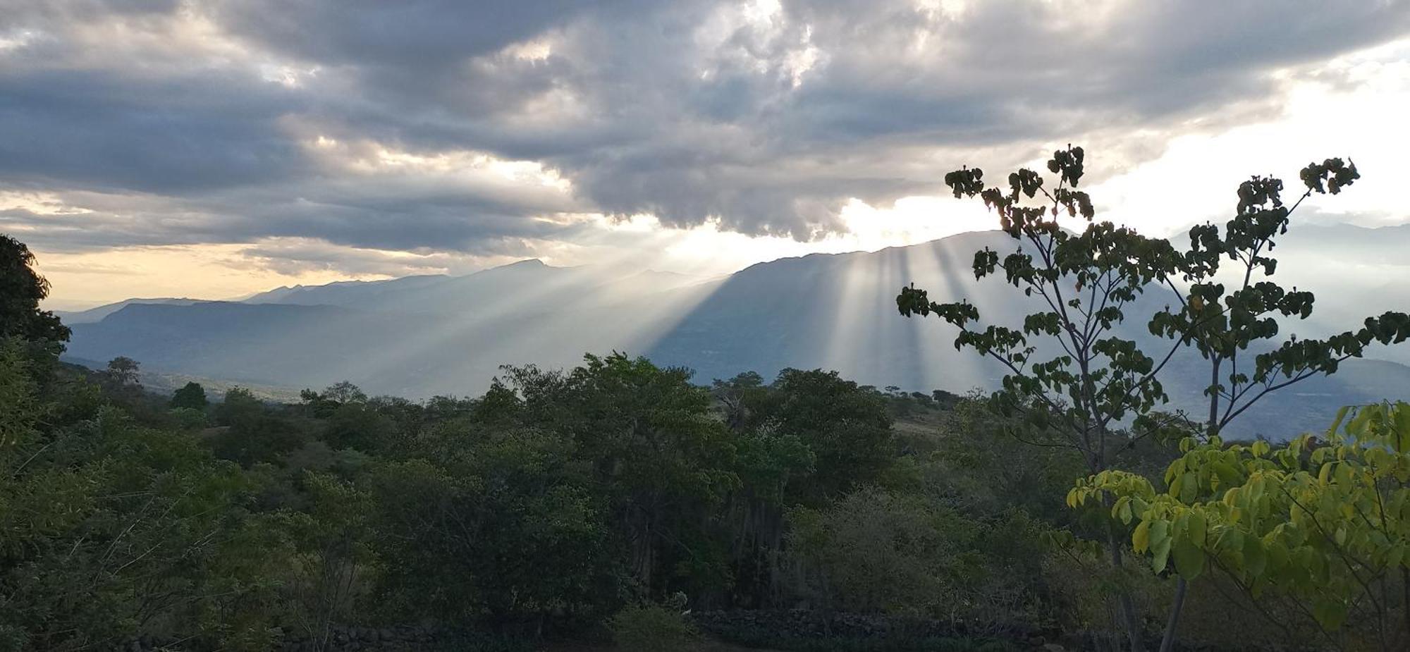 باريكارا El Paraiso Posada Finca San Vicente المظهر الخارجي الصورة