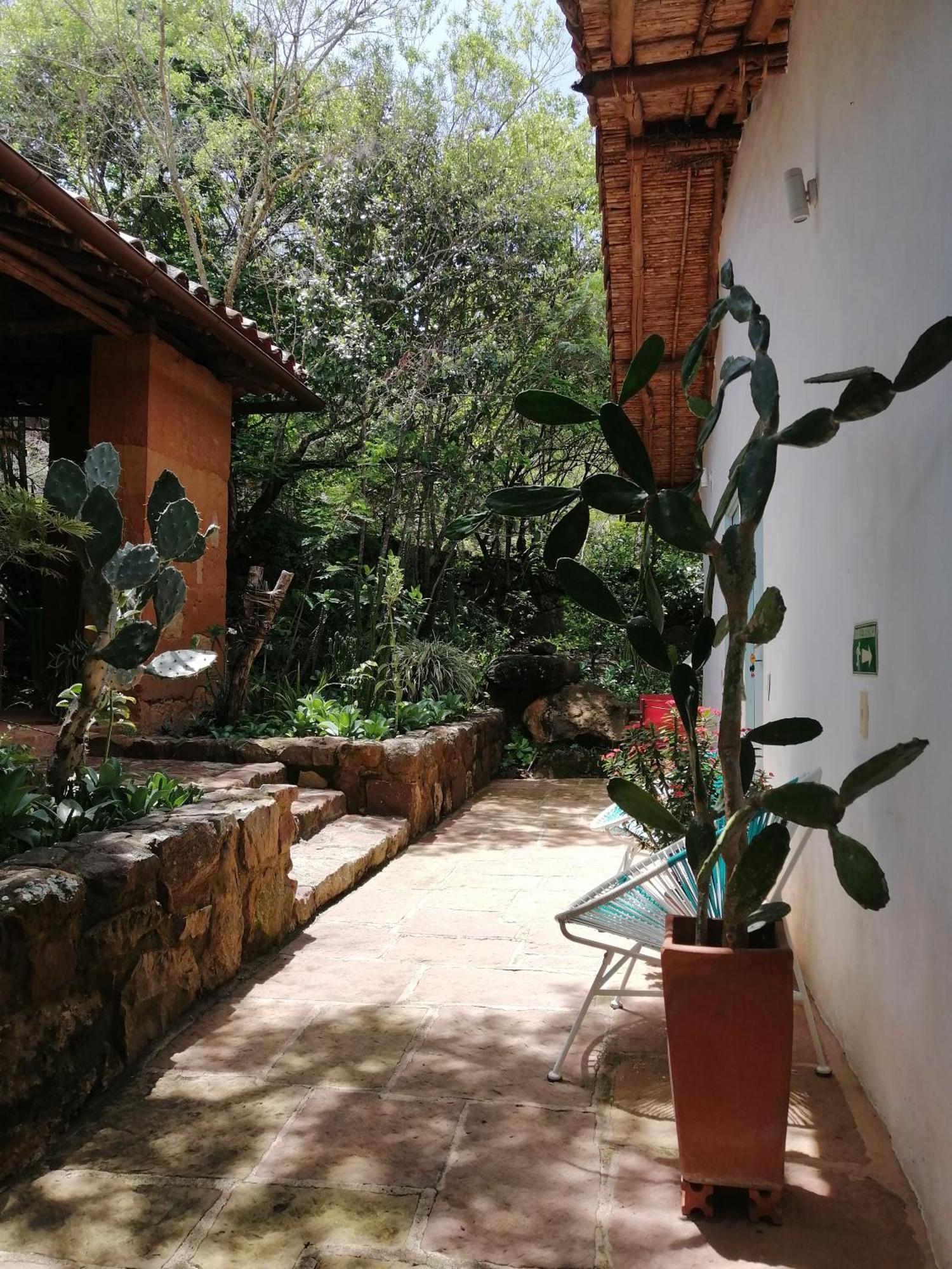 باريكارا El Paraiso Posada Finca San Vicente المظهر الخارجي الصورة