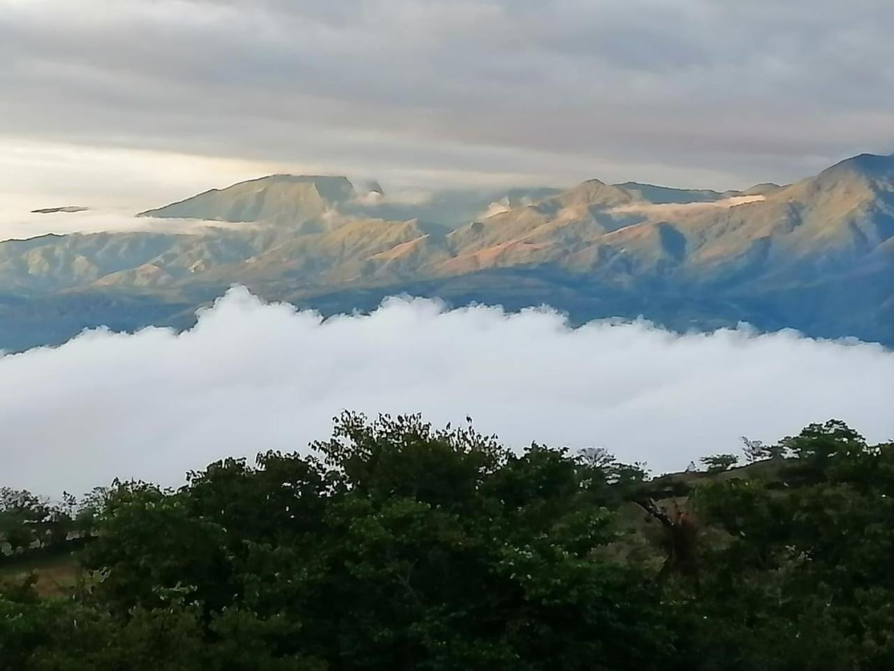 باريكارا El Paraiso Posada Finca San Vicente المظهر الخارجي الصورة