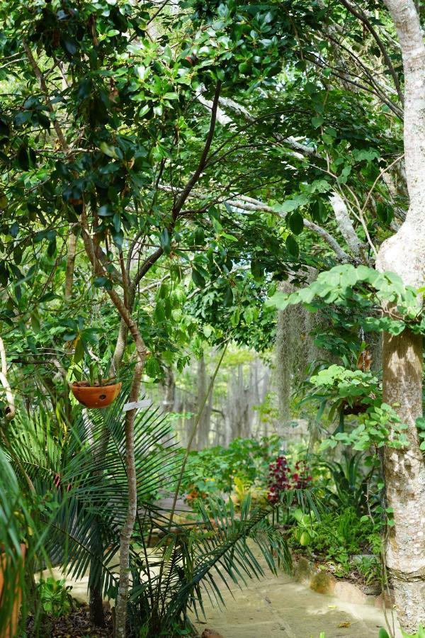 باريكارا El Paraiso Posada Finca San Vicente المظهر الخارجي الصورة