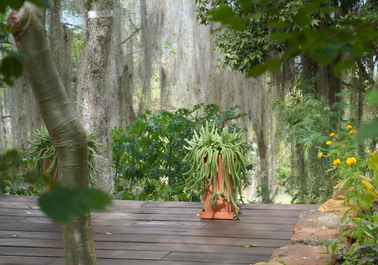 باريكارا El Paraiso Posada Finca San Vicente المظهر الخارجي الصورة