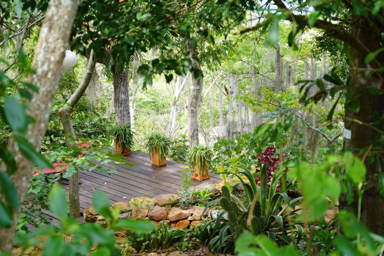 باريكارا El Paraiso Posada Finca San Vicente المظهر الخارجي الصورة