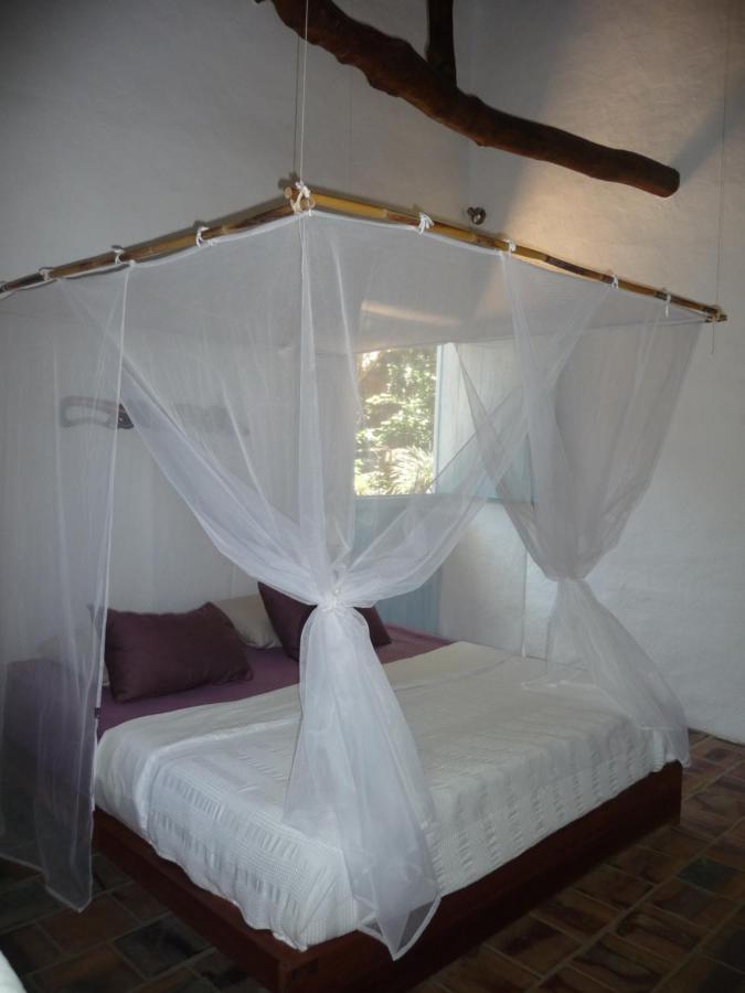 باريكارا El Paraiso Posada Finca San Vicente المظهر الخارجي الصورة