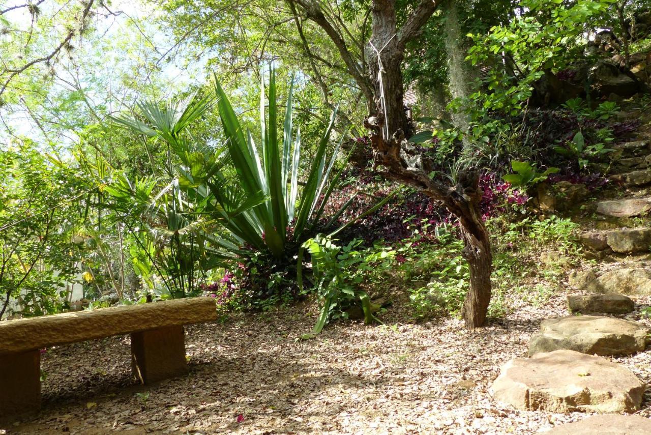 باريكارا El Paraiso Posada Finca San Vicente المظهر الخارجي الصورة